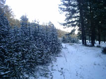 PICT0022